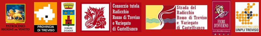 Radicchio a Treviso